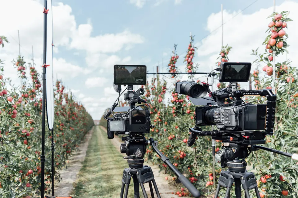 De camera tussen de fruitbomen